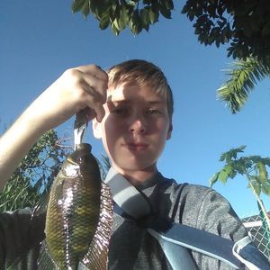 Meet your Posher, Dawson